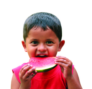 Cut, handsome little indian boy eating fresh watermelon with happy smile on his face showing the satisfaction of eating the summertime nutritious fruit