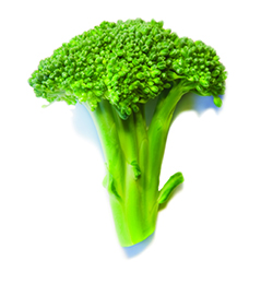 broccoli